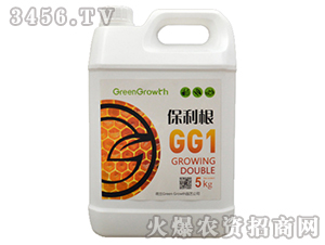 ��ֲ��A�Է���-������-��֮��