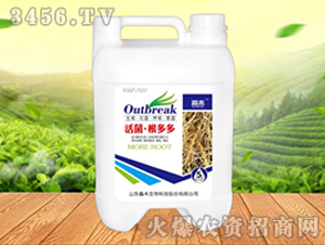 ����������-�κ�����