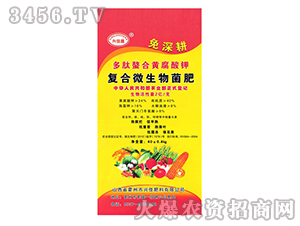 ��(f��)��΢�������-�����-�d�ѷ���