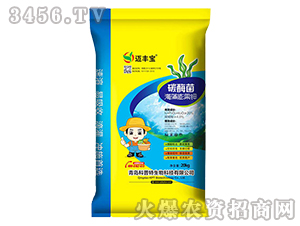 ̼ø����������-�~�S��-������