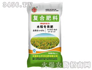 �\���p����ˮ�����÷�17-8-17-̫ƽ��