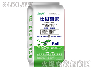 �Ѹ�����-�|��ϲ-�|������