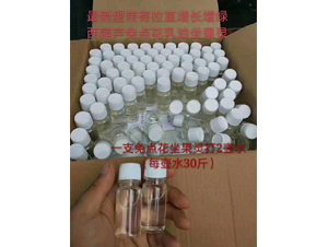 �����J���c�������`-��ʥ��