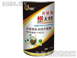 ΢�������-���o��-���_(d��)