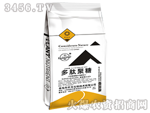 ���ľ���-�d�i