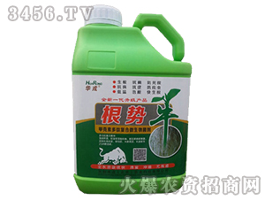 ΢�������-����ţ-�����A��