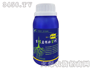 �����P(p��n)�����焩-׿�R��-׿���r(n��ng)�I(y��)