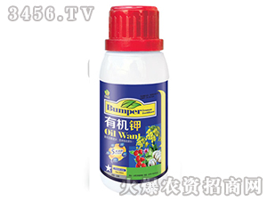 �ЙC�-�S�A�ʘI(y��)