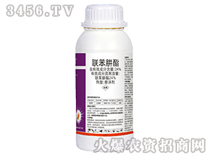 24%(li��n)�������Ҹ���-���r����