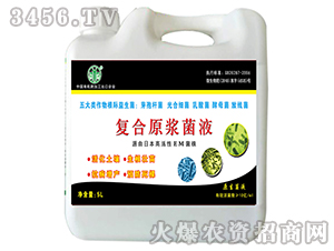 �ͺ�ԭ�{��Һ-�Ɲ�