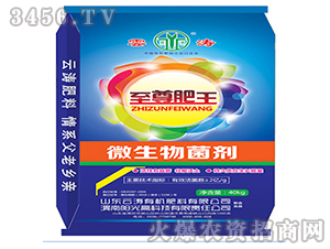 ΢�������-�������-�Ɲ�