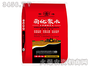 ΢�������-����(y��u)����-�Ɲ�