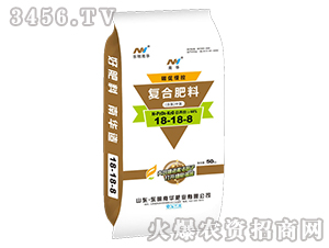 ̼�پ��؏�(f��)�Ϸ���18-18-8-�|�����A