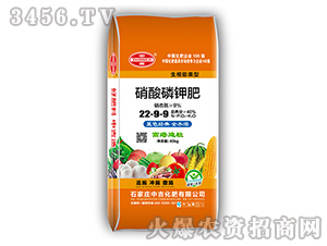 ������⛷�22-9-9-�м�����