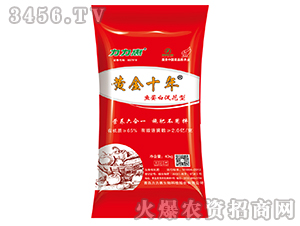 �~(y��)���״ٻ���-�S��ʮ��-������