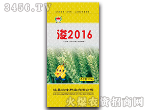 ��2016��12.5kg��-С���N��-�ѴT�N�I(y��)