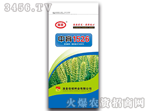 ����1526-С���N��-�δT