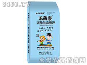 ̼ø�S�����-������-����