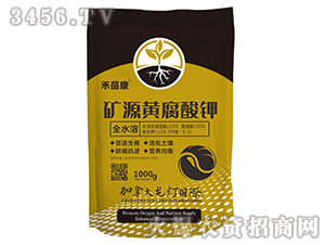 �VԴ�S�����-������-����