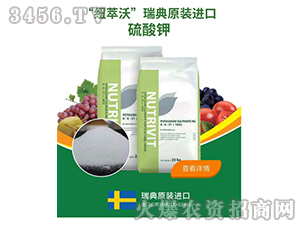 ���ԭ�b�M(j��n)�������-�~����-ɽ���r(n��ng)�Y 