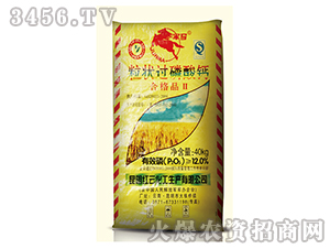 �����^�����}-ɽ���r�Y