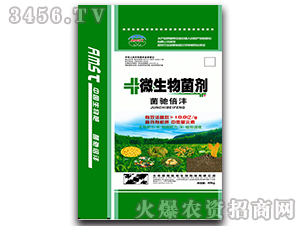 ΢�������-���Y����-��ķ˹��