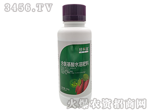 ���Ƹ��t�팣���~���-�����