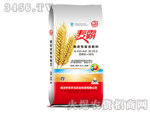 ��(w��n)���ԏ�(f��)�Ϸ���20-20-6-����-���r(n��ng)���R