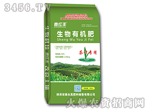 ���~���������ЙC(j��)��-ϲ�t�S-���r(n��ng)��