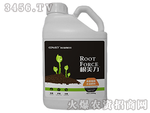 ����ֲ��ˮ�ܷ�-������-�в�