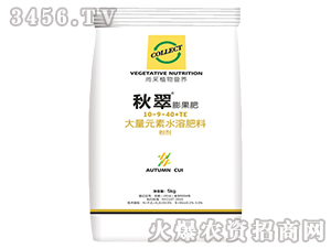 ����ʹ���Ԫ��ˮ�ܷ���10-9-40+TE-���-�в�