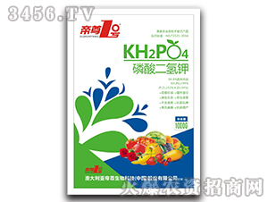 ��������-����1̖-����ɭ