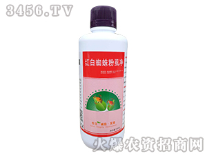 �t��֩���ʭ��-����ɭ