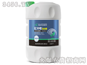 ����΢�������-�|�S��-����̩