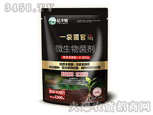 ΢�������-һ������-����̩