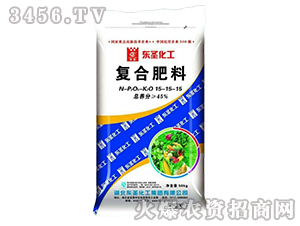 �ͺϷ���15-15-15-�|ʥ����