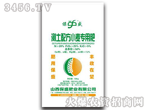 �y���䷽С�����÷�-��ʢ