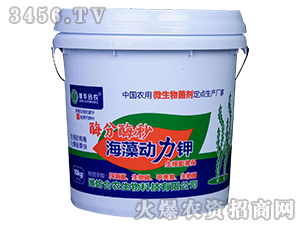 ø��ø�뺣������-���r(n��ng)����