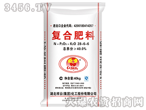 40%�ͺϷ���28-6-6-�t�{��-����