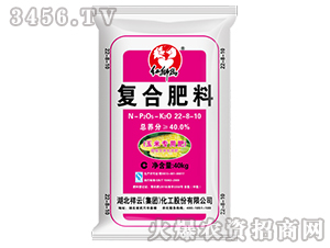 ���׌��Ï�(f��)�Ϸ���22-8-10-�t�{��-����