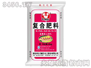 ���׌��Ï�(f��)�Ϸ���20-13-12-�t�{��-����