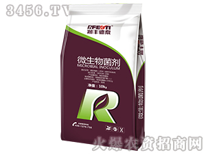 ΢�������-���S��̩-�S��̩