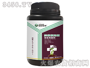 ΢����������������߾���-������r(n��ng)