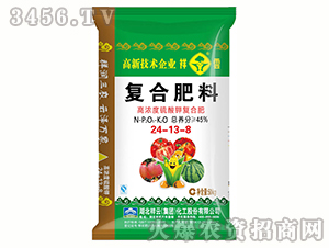 �ͺϷ���24-13-8-����