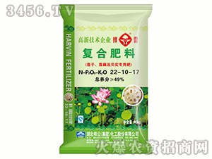 �ͺϷ���22-10-17-����