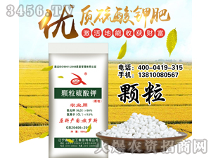 ��(y��u)�|(zh��)�w������⛷�-��ˮ����