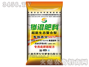 ���������͵׷ʓ������-���o(j��)��