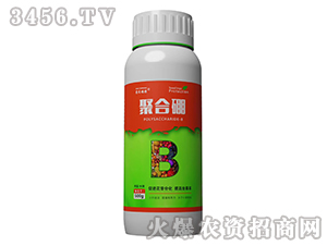 �ۺ���-����ֲ��