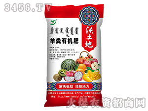 ��S�ЙC��-������-��������