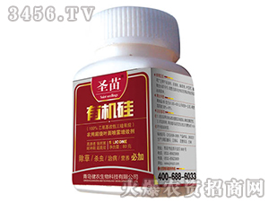 �ЙC(j��)��-ʥ��-���r(n��ng)����